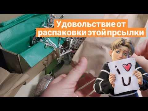 Видео: Новые орхидеи цвета осени🍁🍂
