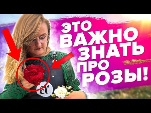 Видео: ТИПЫ РОСТА РОЗ. В ЧЕМ РАЗНИЦА? КАК правильно ОБРЕЗАТЬ?