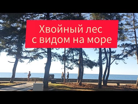 Видео: Центральный Парк Кобулети, тишина и покой на берегу моря🌲🇬🇪🌊