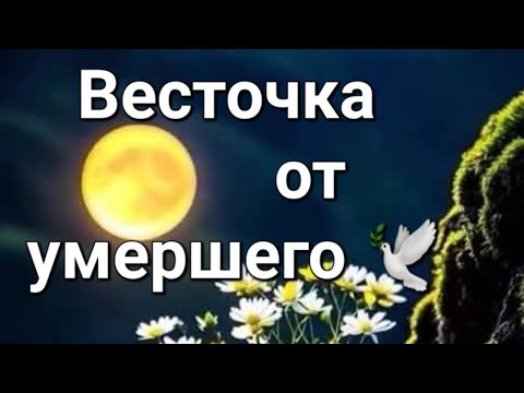 Видео: 🌺🌺 Весточка от умершего, от ушедшей в мир иной Души ✨️ 🕊 ✨️ 🕊 