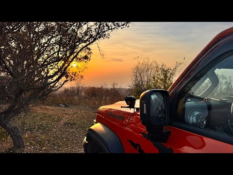 Видео: 🧡ТигрТанк на Кок-Тюбе