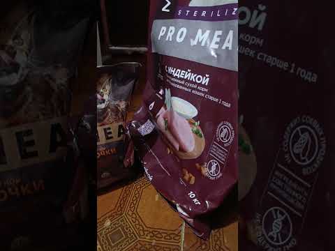 Видео: О КОРМЕ И НЕ ТОЛЬКО🥺🙀