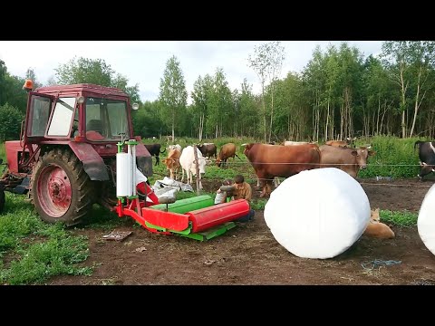 Видео: Сенокос 2023
