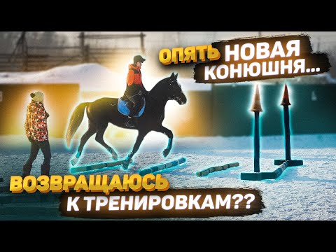 Видео: VLOG: ТРЕНИРОВКА на Голубоглазом Коне // снова НОВАЯ КОНЮШНЯ...