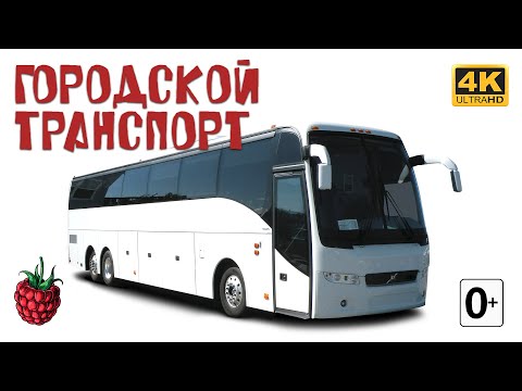 Видео: ГОРОДСКОЙ ТРАНСПОРТ для детей