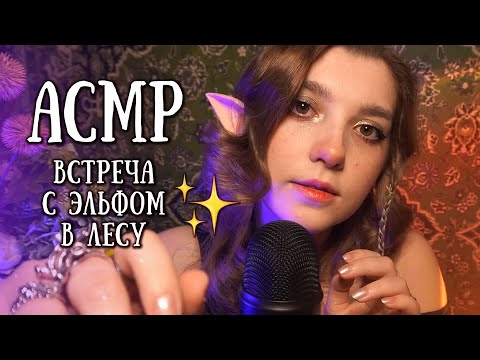 Видео: АСМР 🌼 RP: ты встретил странного эльфа в лесу // ASMR triggers Blue Yeti beatrisius asmr