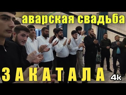 Видео: Аварцы (ц|орцы) Закатала Джар. 2022 @kavkazChannel