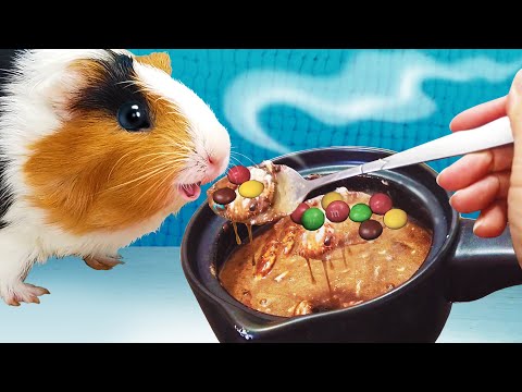 Видео: КАК ПРИГОТОВИТЬ ШОКОЛАДНЫЙ СУП ИЗ НУТЕЛЛЫ и M&M'S для СВИНКА БУЗЯ