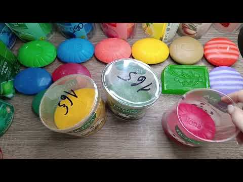 Видео: Коллекция ракушек