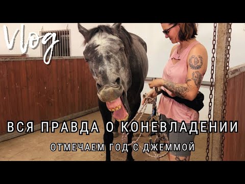 Видео: Вся правда о коневладении | Отмечаем год с Джеммой