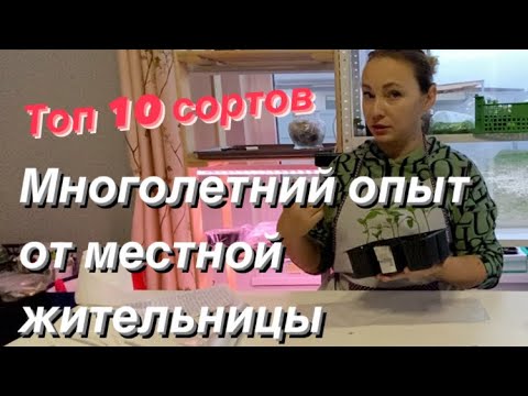 Видео: Топ 10 сортов томатов которые обязательно посею и еще 56 лучших сортов!Смотреть до конца