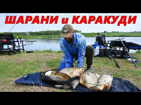 Видео: СМЯХ и РИБОЛОВ на ШАРАНИ и КАРАКУДИ - КАК да ИЗБЕРЕМ правилно ЗАХРАКАТА за НОВИ ВОДОЕМИ ?