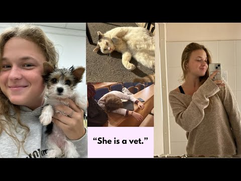 Видео: влог студента-ветеринара #23