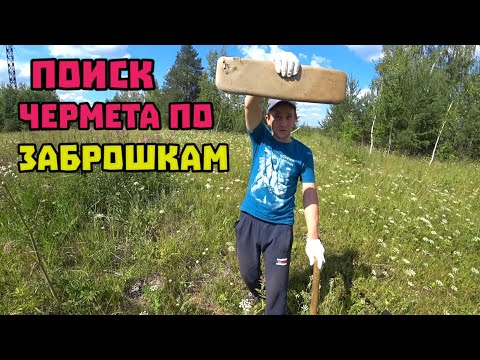 Видео: Находки на старых заброшенных местах, копаю с QUEST X5