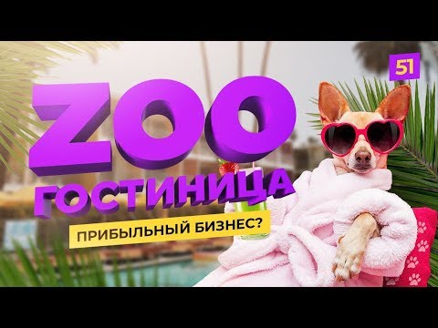 Видео: Гостиница для животных. Сколько стоит запуск? Идея для бизнеса.