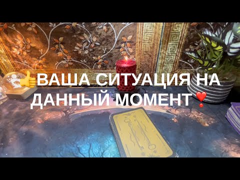 Видео: 8 ноября 2025 г.