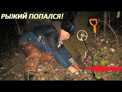 Видео: ЗОЛОТОЙ ЧЕРВОНЕЦ! Сколько эта монета стоит? POISK ZLATA SEREBRA