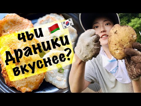 Видео: СРАВНИМ?! ДРАНИКИ VS КОРЕЙСКИЕ ДРАНИКИ из самого свежего картофеля! | Какую картошку мы вырастили?
