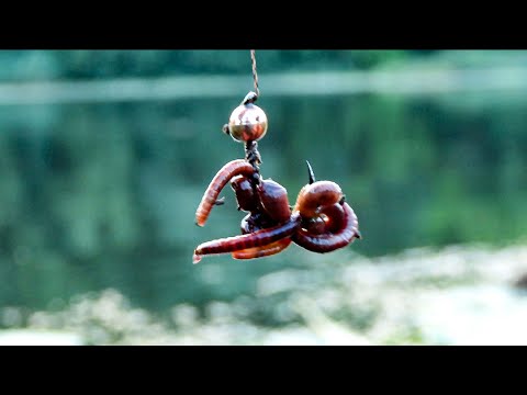 Видео: 🇺🇦Ловля карася на летнюю мормышку на утреней зорьке / рыбалка на карася на боковой кивок