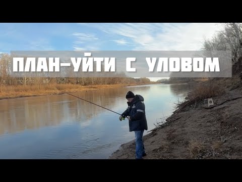 Видео: Рыба нас игнорит