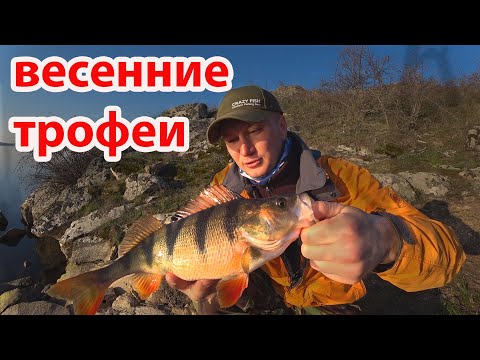 Видео: Трофеи на ультралайт рыбалка весной на спиннинг