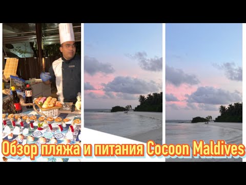 Видео: МАЛЬДИВЫ. COCOON MALDIVES. ОБЗОР ПЛЯЖА, ПИТАНИЯ « ВСЁ ВКЛЮЧЕНО», ЗАЖИГАЕМ НА КАРАОКЕ ВЕЧЕРИНКЕ!