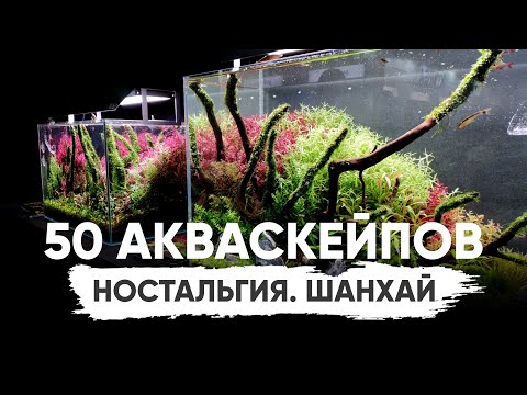 Видео: 40 акваскейпов из Шанхая CIPS 2019