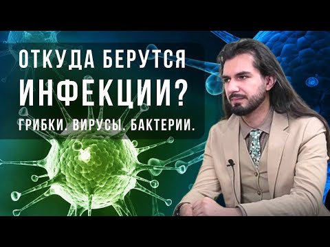 Видео: Откуда берутся инфекции?