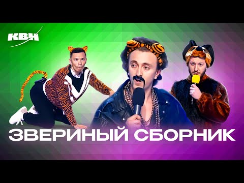 Видео: КВН. Звериный сборник