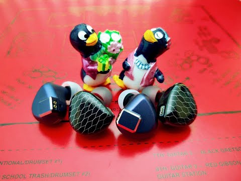 Видео: LET SHUOER S12 PRO vs TINHIFI P1 MAX – изодинамические спикеры в деле...