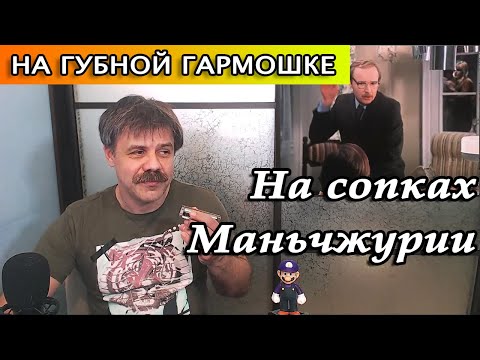 Видео: На сопках Маньчжурии на губной гармошке