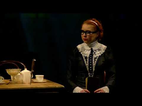 Видео: ТЮЗ им  А А  Брянцева   Том Сойер