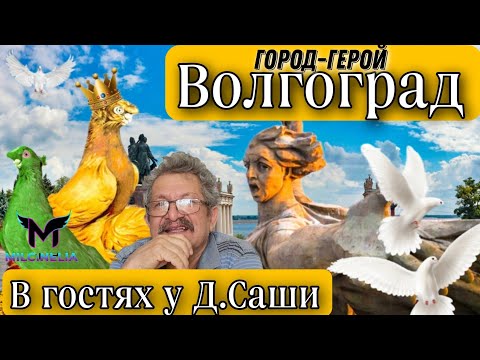 Видео: Самаркандские игровые #голуби. В гостях у Д.Саши «Город-герой» ВОЛГОГРАД. Игровые двухчубые голуби!
