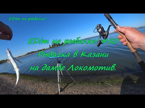 Видео: EDim на рыбалке! #50  Рыбалка в Казани на дамбе Локомотив.