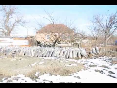 Видео: Вешенка. Моя ферма.
