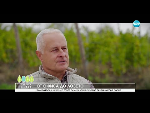 Видео: Да хванеш гората (09.11.2025)