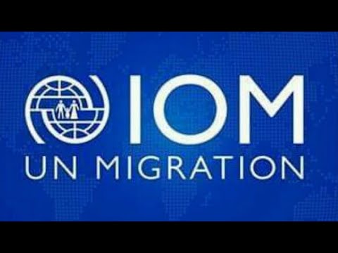 Видео: Как пройти мед осмотр на GREEN CARD/МОМ Киев