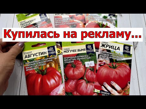 Видео: Семена Алтая: НЕ ОЖИДАЛА таких томатов
