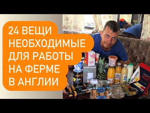 Видео: Что взять на ферму в Англии?