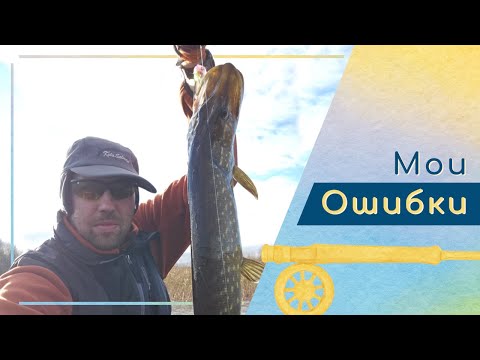 Видео: Осенняя щука на нахлыст - отчет о рыбалке