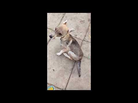 Видео: 31 октября 2025 г.