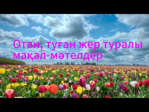 Видео: Отан, туған жер туралы мақал-мәтелдер