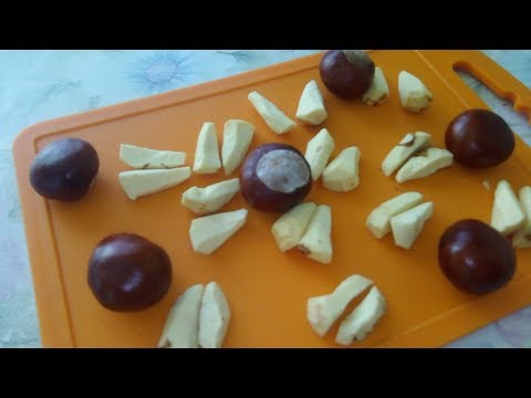 Видео: Каштаны на зиму. Лечим насморк-мой способ!