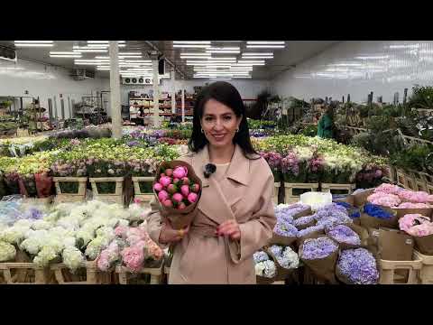 Видео: Цветочный бизнес | Свежая поставка цветов | Тренды сезона, которые разбирают за часы!