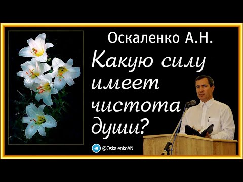 Видео: Оскаленко А.Н. Какую силу имеет чистота души?