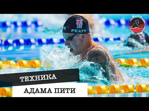 Видео: Разбор техники Адама Пити. Как плавает лучший брассист в мире?