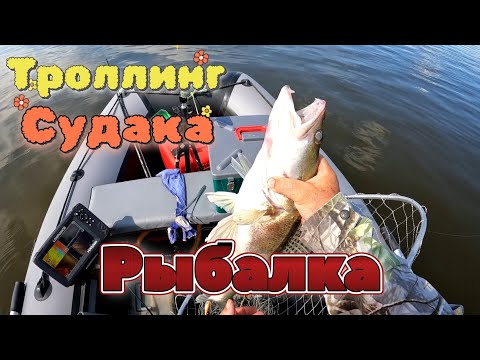 Видео: РЫБАЛКА.ЛОВЛЯ СУДАКА НА ОКЕ, ЛУЧШИЕ ПРИМАНКИ ПО СУДАКУ и ЩУКИ