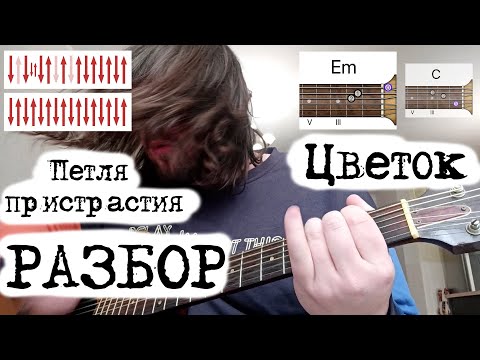 Видео: "Петля пристрастия - Цветок". Подробный разбор аккордов и боя