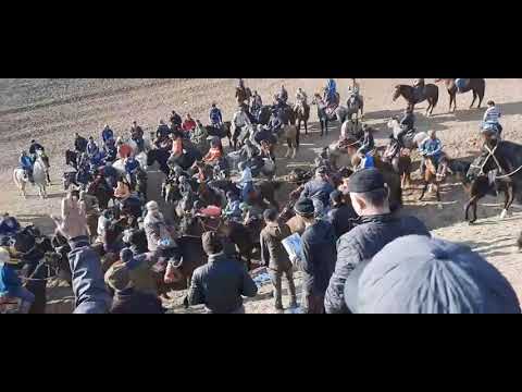 Видео: Бузкаши деҳаи Сумчакон ҷ.д. Саричашма 01.01.2023