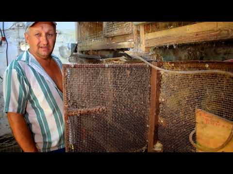 Видео: Назбиралось, що розповісти